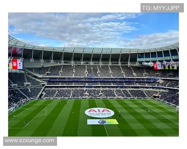 球迷文化的崛起与变革:从激情追随到社交互动的全新体验